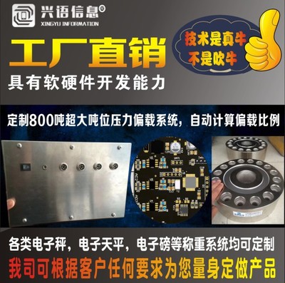 15公斤電子秤與計算機遠程數(shù)據(jù)監(jiān)控系統(tǒng)
